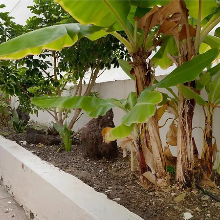 Dunia Apartamento San Agustín