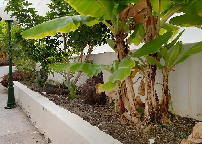 Pippa's House 公寓 San Agustín